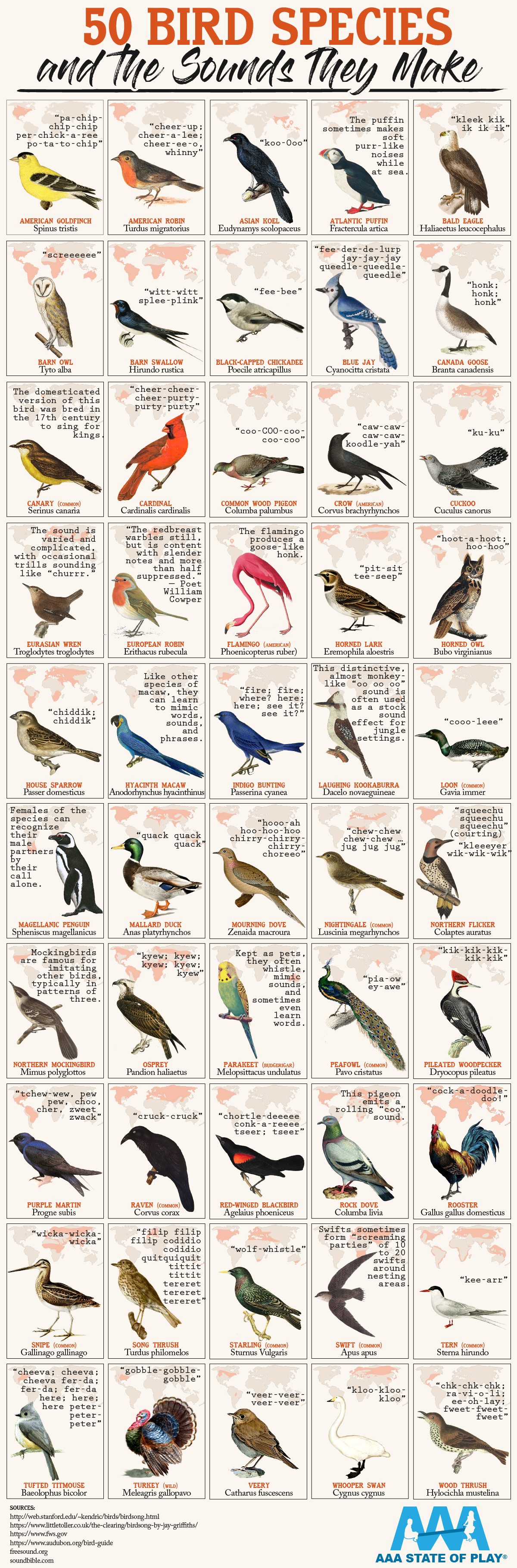 50 Bird Species and The Sounds They Make