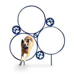 BarkPark Hoop Jump