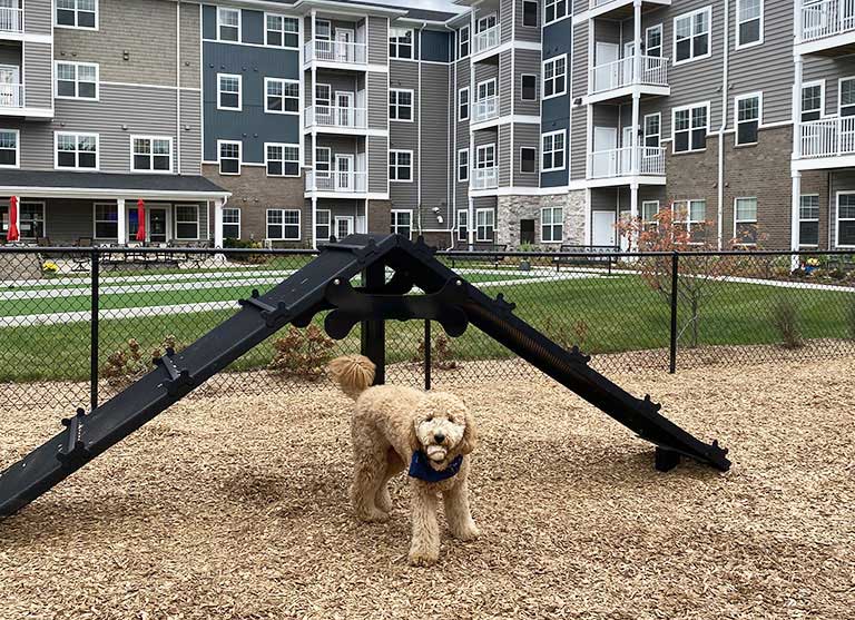 Property Illustration Picture